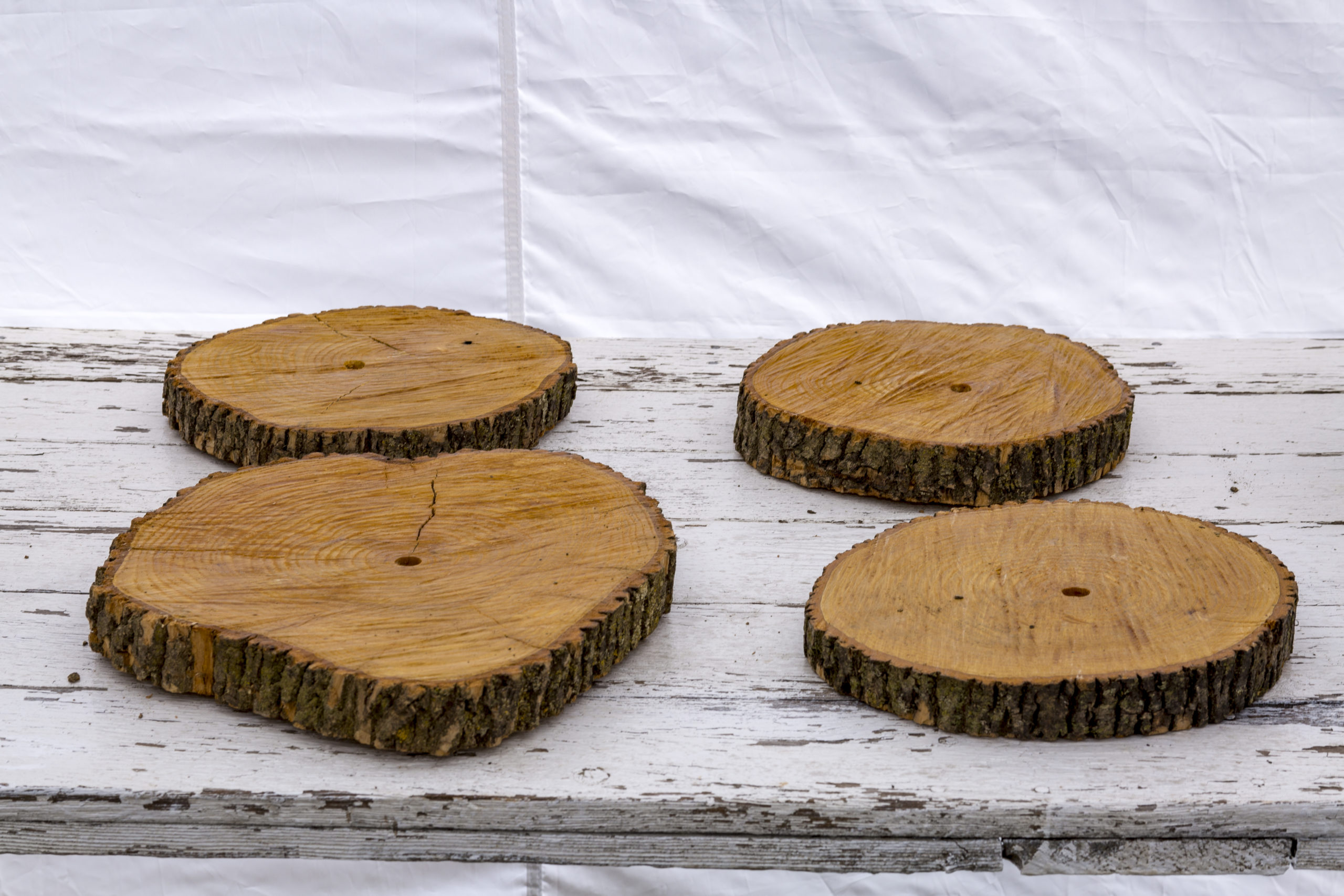 Natural Large Wood Slice - 12